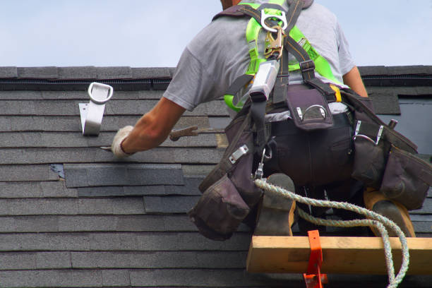 Best Emergency Roof Repair  in Ly Lake, IL