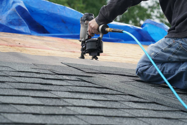 Best Gutter Installation and Roofing  in Ly Lake, IL