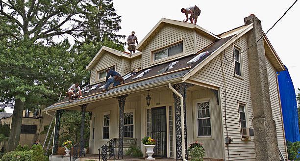 Best Best Roofing Contractors  in Ly Lake, IL