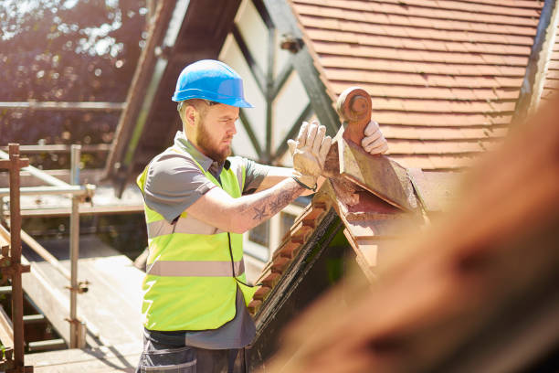 Best Flat Roof Repair Services  in Ly Lake, IL