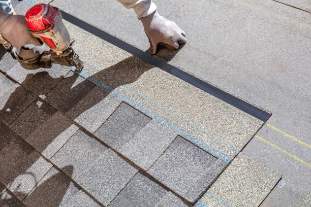 Best Residential Roofing Contractor  in Ly Lake, IL