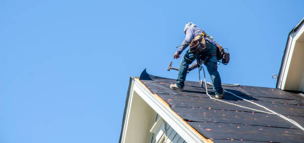 Best Commercial Roofing Services  in Ly Lake, IL