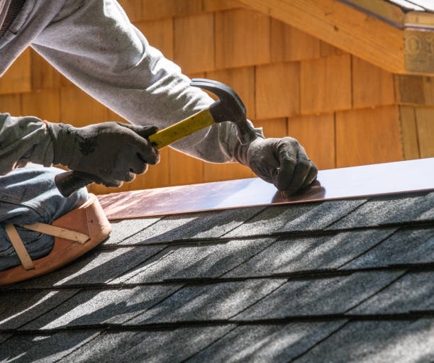 Professional Roofing Contractor in Lily Lake, IL
